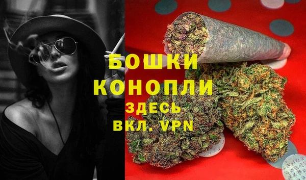 СК Волоколамск